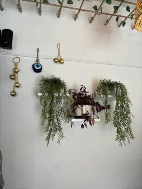 Our space